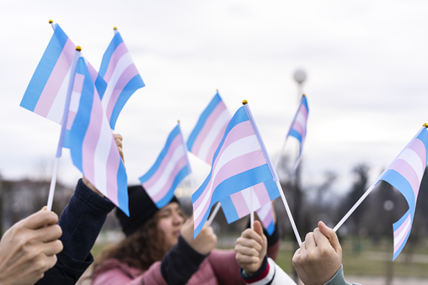 an image of a group of people waving trans flags above their heads